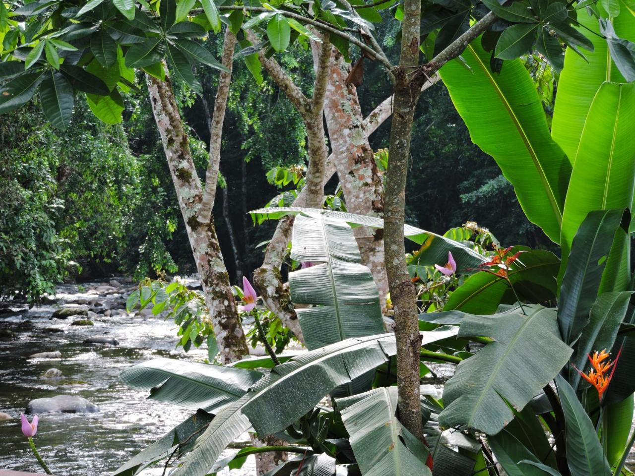 Pousada Da Cachoeira Taquari Parati Exterior foto